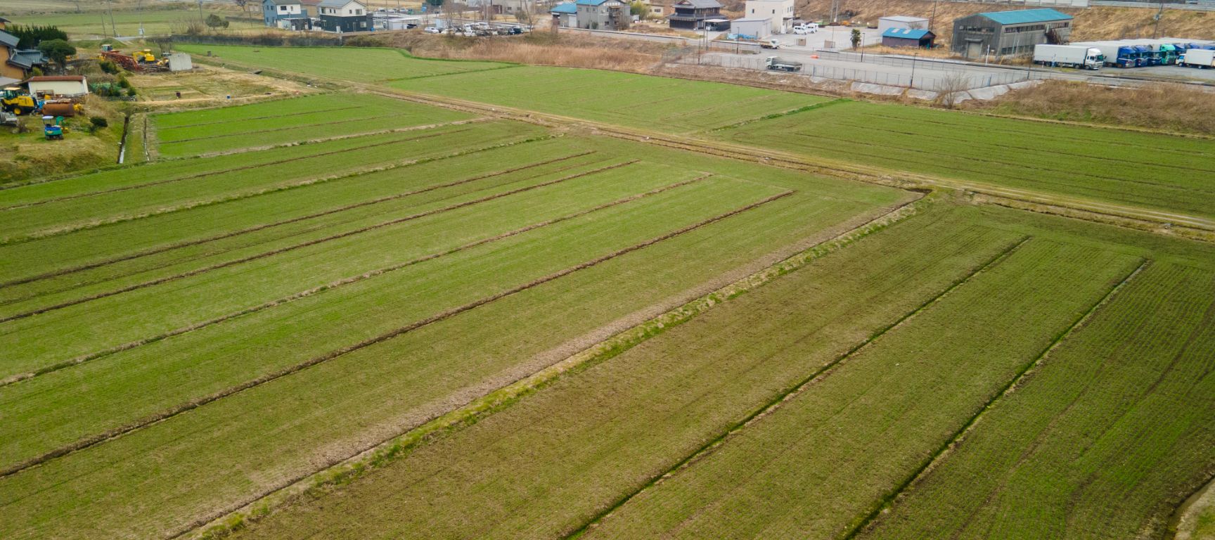 滋賀県米原市のこだわり農園 やまねのお米を毎日の食卓へ