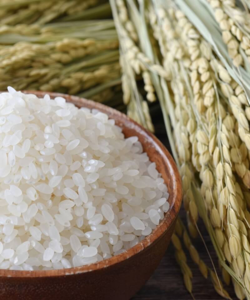 滋賀県米原市のこだわり農園 やまねのお米を毎日の食卓へ